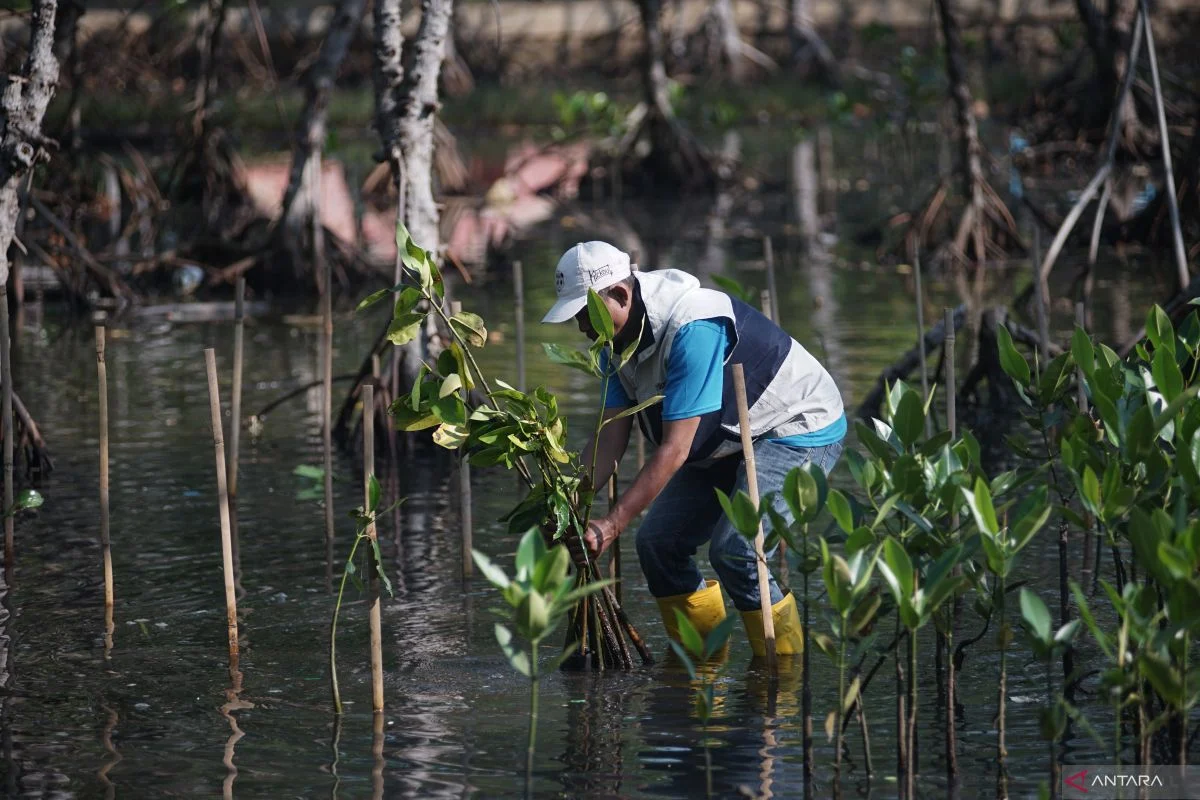 Polda Banten Tanam 1.000 Bibit Mangrove di Cilegon untuk Cegah Abrasi