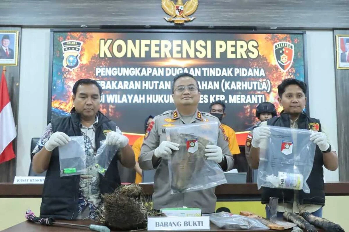 Polres Pelalawan Tangkap Pelaku Karhutla di Teluk Meranti, Bakar Lahan 500 Hektare