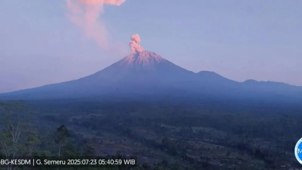 Semeru erupsi lima kali, tinggi letusan mencapai 1.200 meter