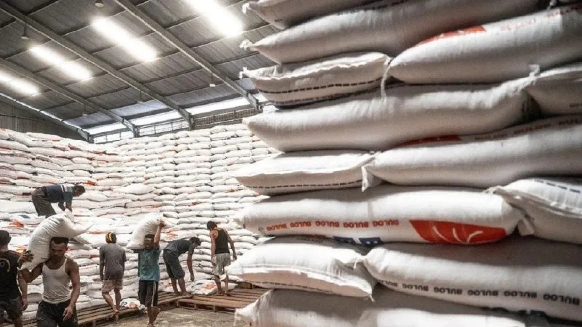 Stok Beras Indonesia Nyaris 5 Juta Ton, Rekor Tertinggi Sepanjang Sejarah