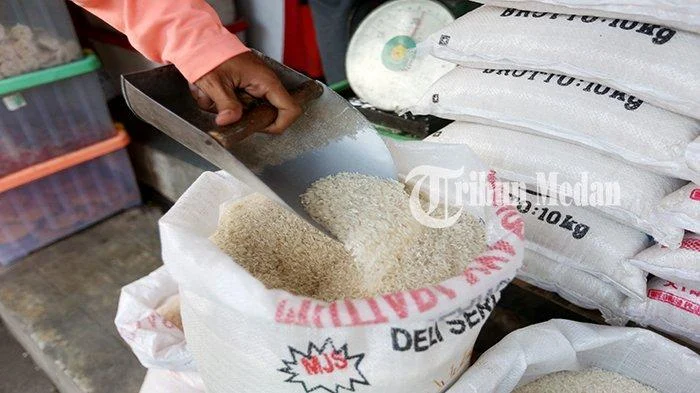 Stok Beras Sulawesi Selatan Naik Tajam, Capai 761 Ribu Ton, Ungkap Mentan Amran