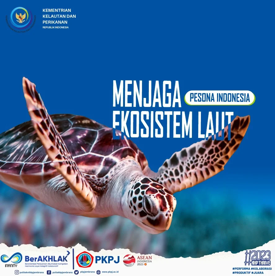 Studi Rekolonisasi di Area Operasional AMMAN Tunjukkan Tren Positif bagi Ekosistem Laut