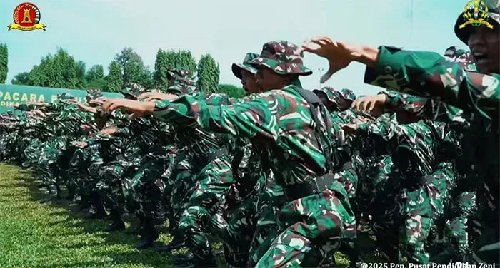 TNI AD Bangun 30 Brigade dan 155 Batalyon Teritorial Pembangunan, Fokus Operasi di Daerah