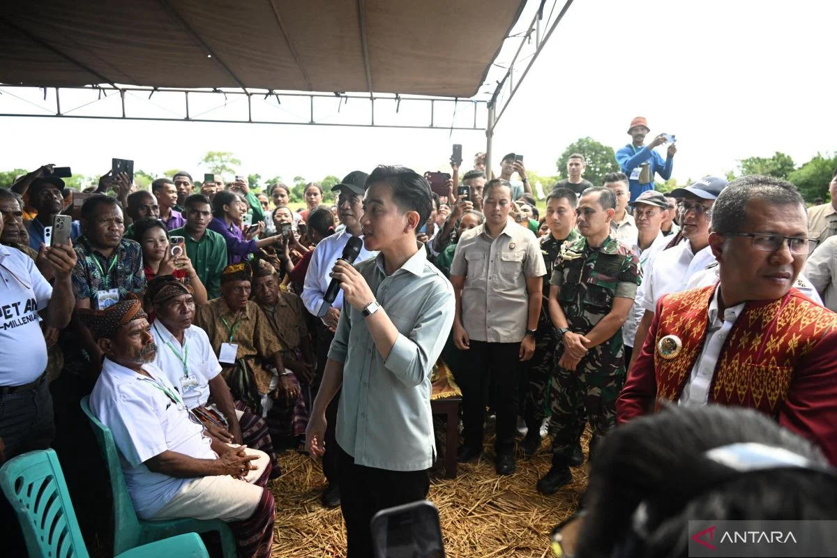 Wapres Gibran Apresiasi Hasil Tani Kupang untuk Suplai Program Makan Bergizi Gratis