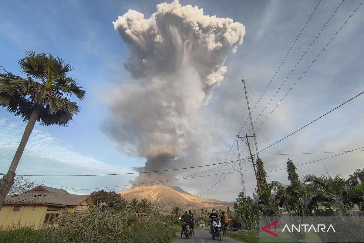 Warga Pululera Kembali Bertani Pasca Erupsi Gunung Lewotobi Laki-laki