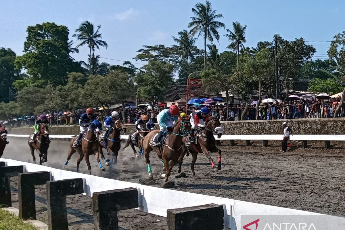 147 Kuda dari 12 Daerah Ikuti IHR 2026 di Semarang