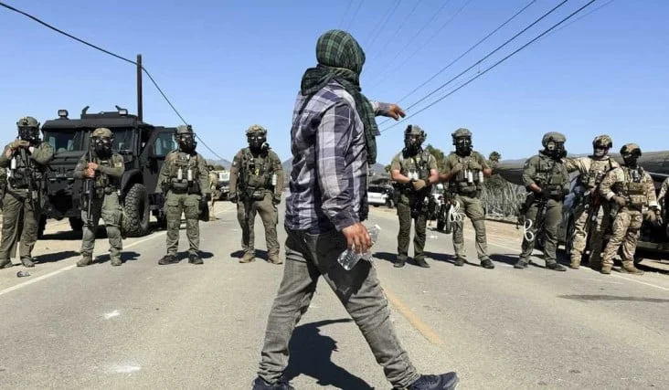 341 Predator Anak Ditangkap di California