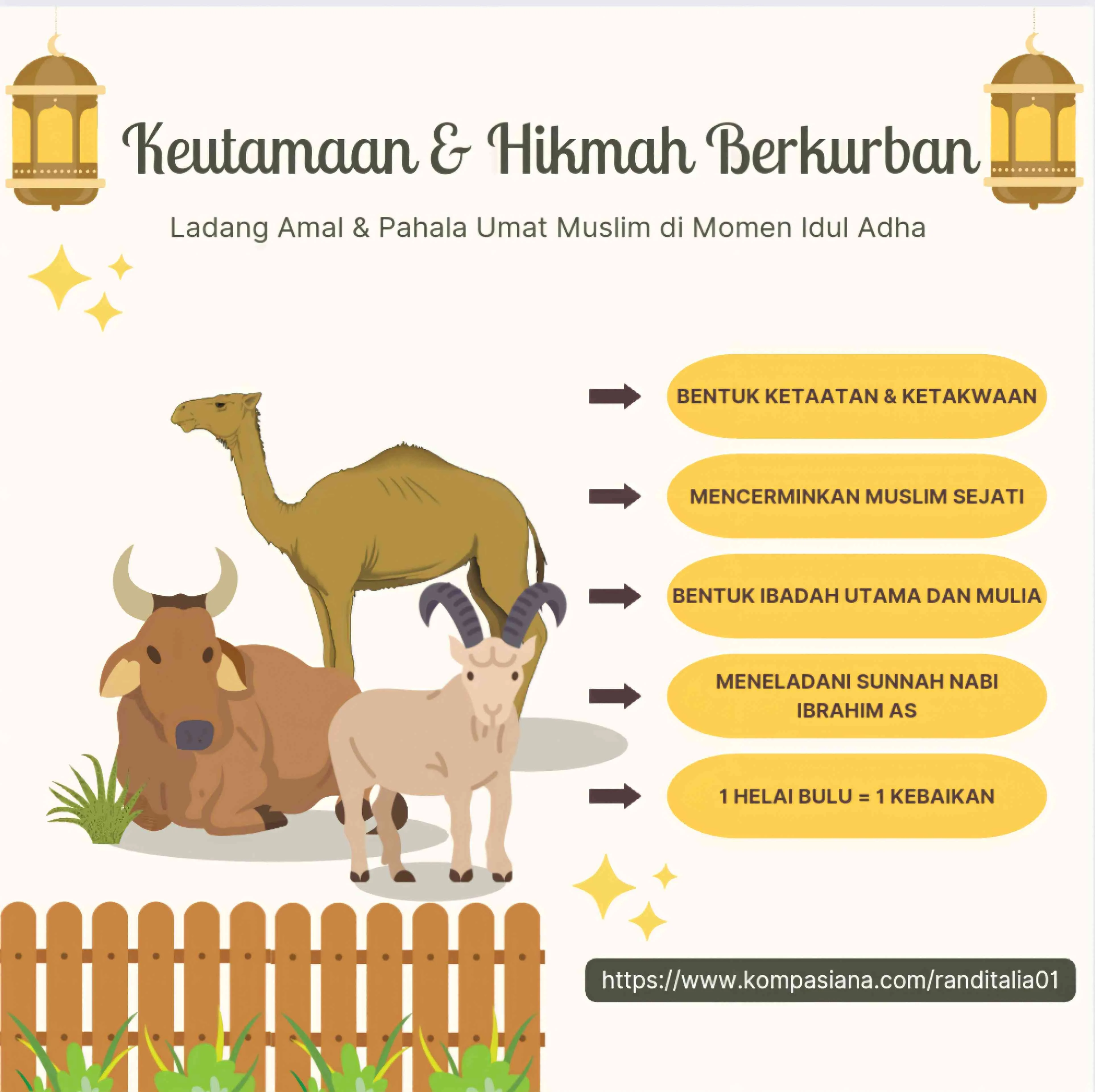 4 Dalil Utama Anjutan Berkurban, Muslim Wajib Tahu
