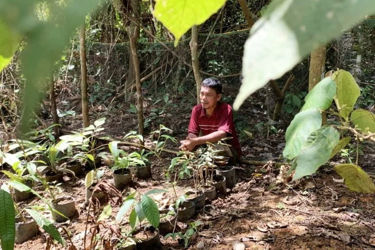 Adaptasi Kebiasaan Orang Rimba Menghadapi Perubahan Lingkungan