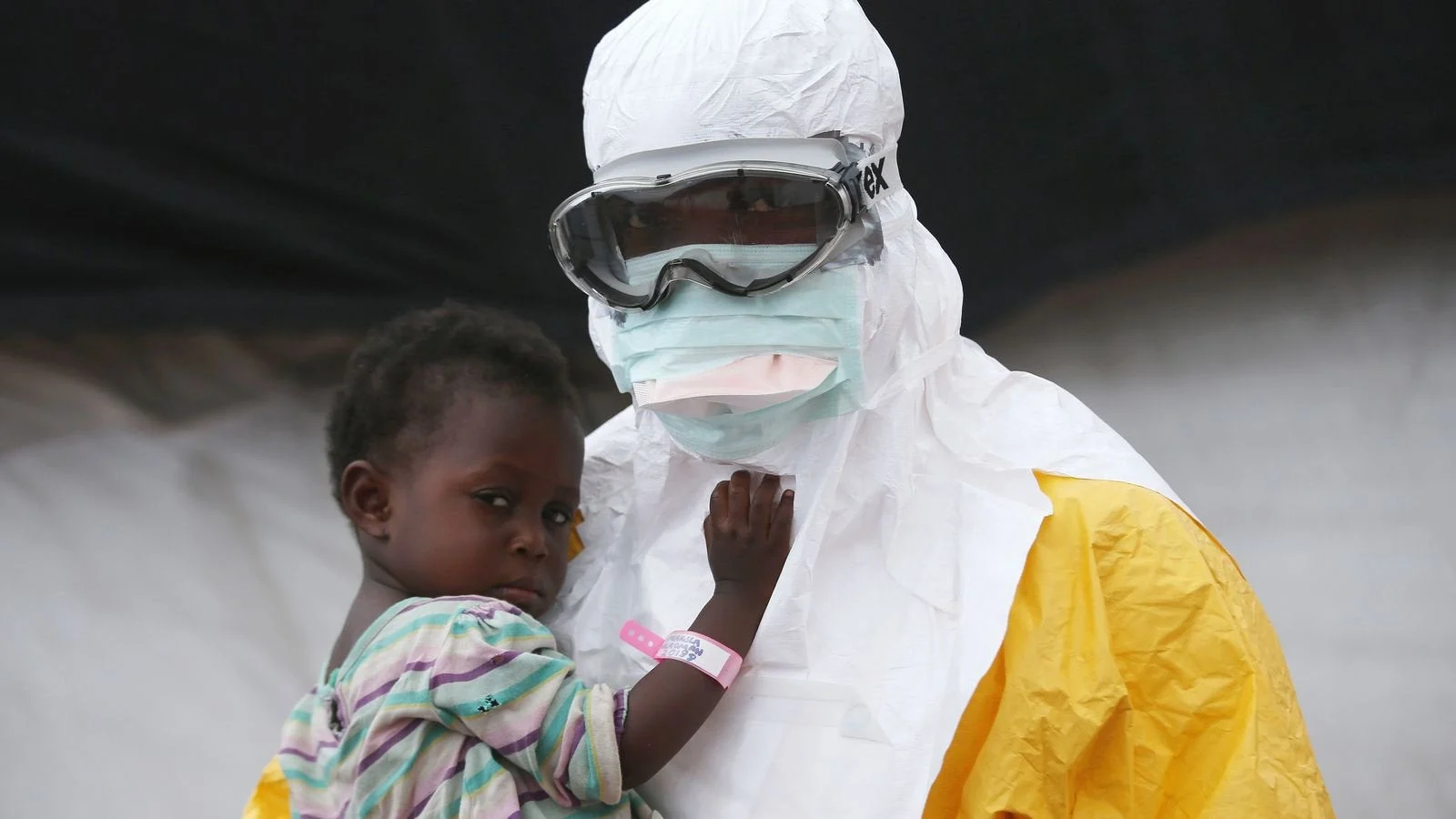 Afrika Selatan Deteksi Strain Andes Hantavirus yang Dapat Menular Antar Manusia