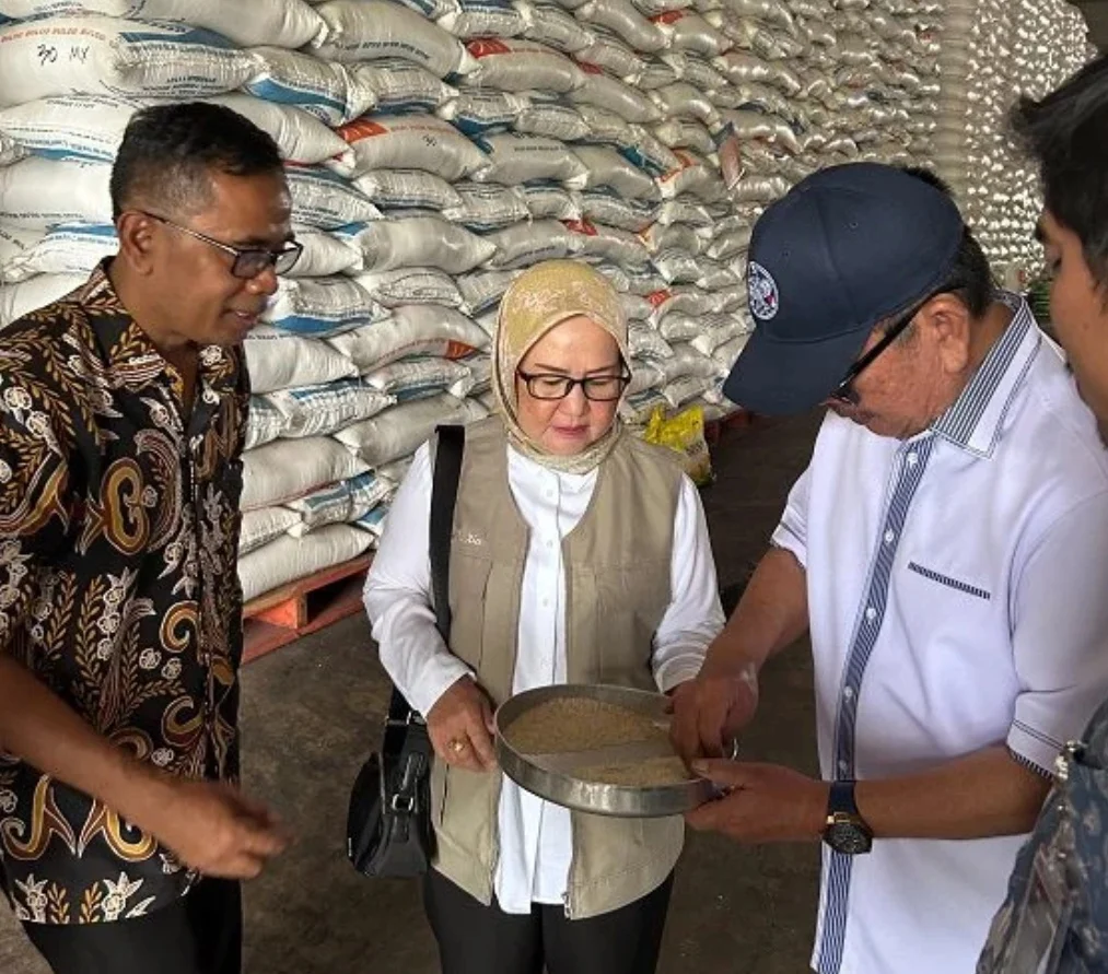 Anggota DPR RI Cek Stok Beras di Gudang Bulog Kolaka