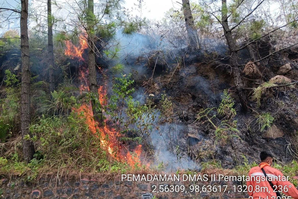 Angin Kencang Terjang Klaten, Kebakaran Hutan di Nunukan Meningkat