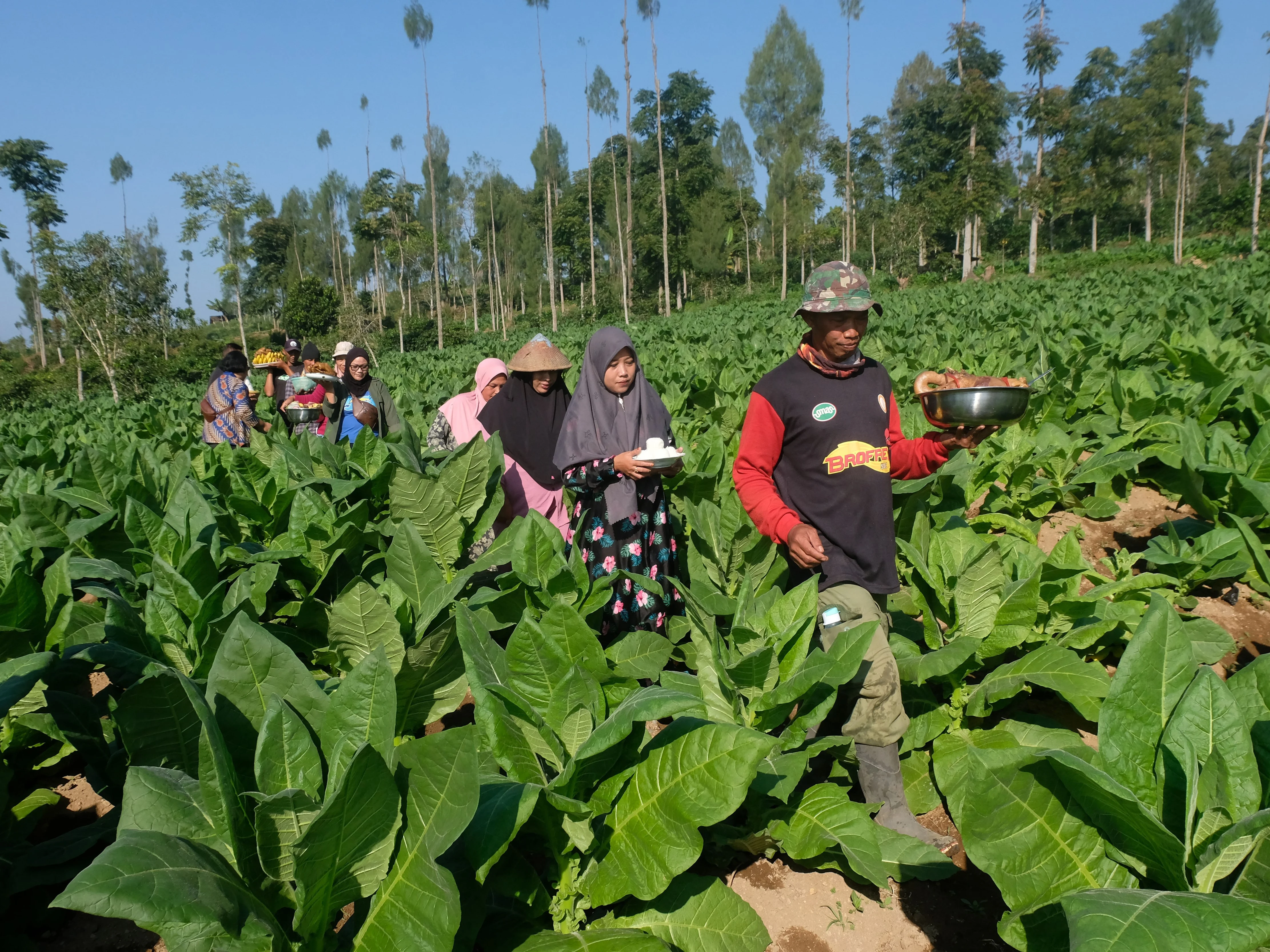Asosiasi Tembakau Minta Aturan Peringatan Kesehatan Tidak Bentrok dengan UU Hak Kekayaan Intelektual