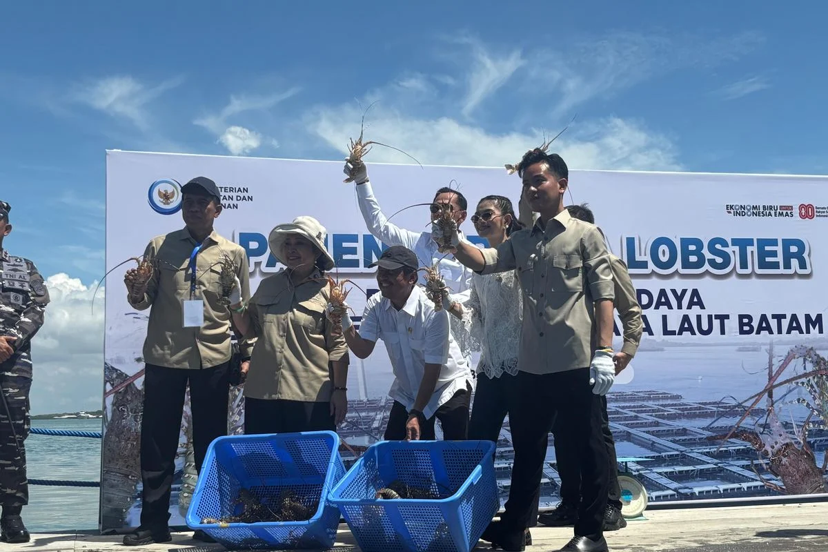 Balad Grup Usulkan Pembentukan Satgas Pemberantasan Penyelundungan Benih Lobster