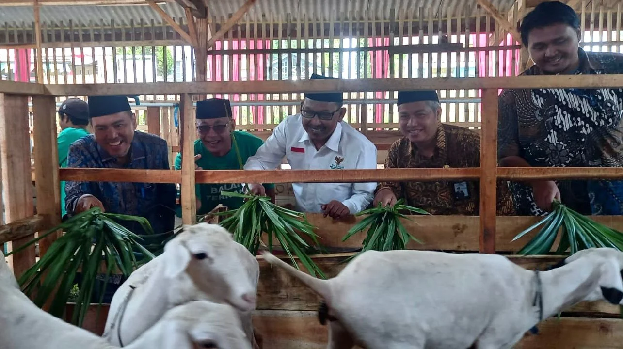 Baznas Luncurkan Balai Ternak Perkuat Ekonomi Peternak Mustahik Tegal