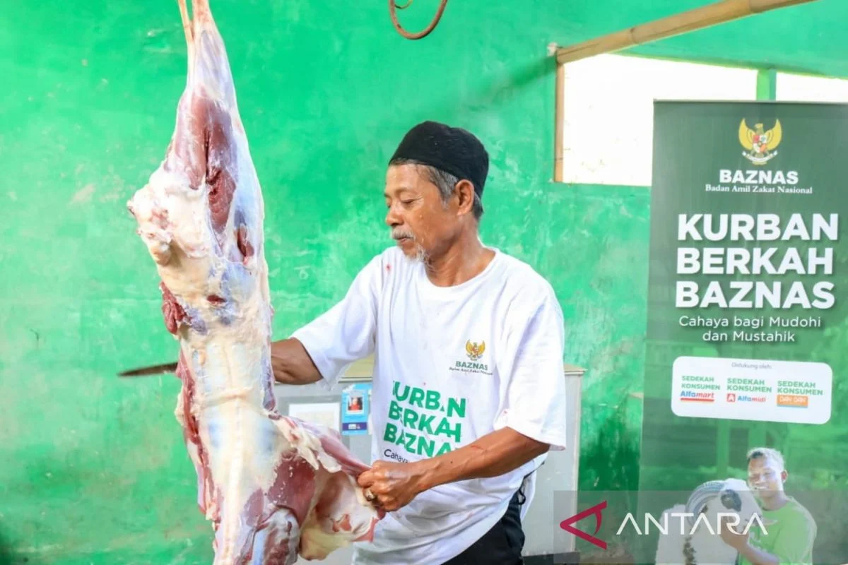 Baznas Salurkan Daging Kurban Serentak di 104 Titik Se-Indonesia