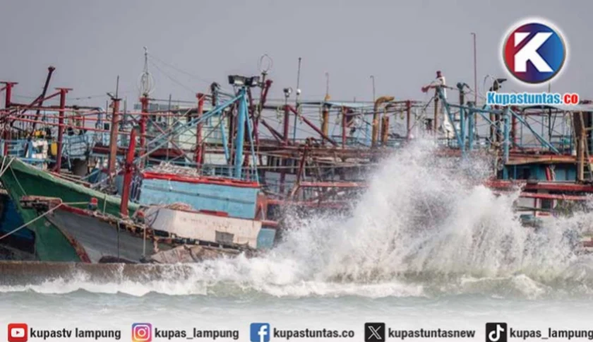 BMKG Peringatkan Pelayaran Nasional Waspadai Gelombang Tinggi pada 2 Juni