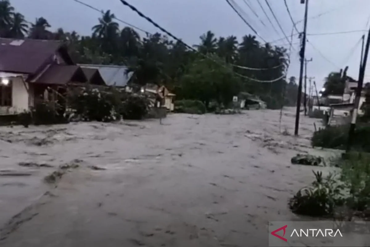 BNPB: Penanganan Banjir di Poso Butuh Dukungan Alat Berat