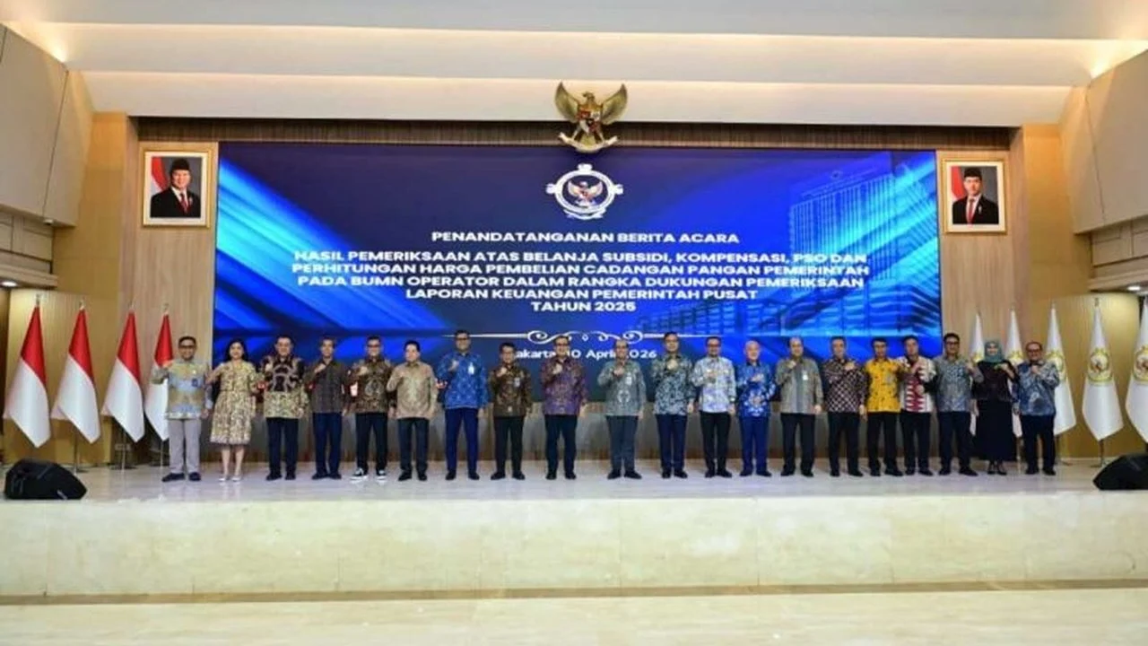 BPK Catat Peningkatan Kualitas Pengelolaan Subsidi BUMN