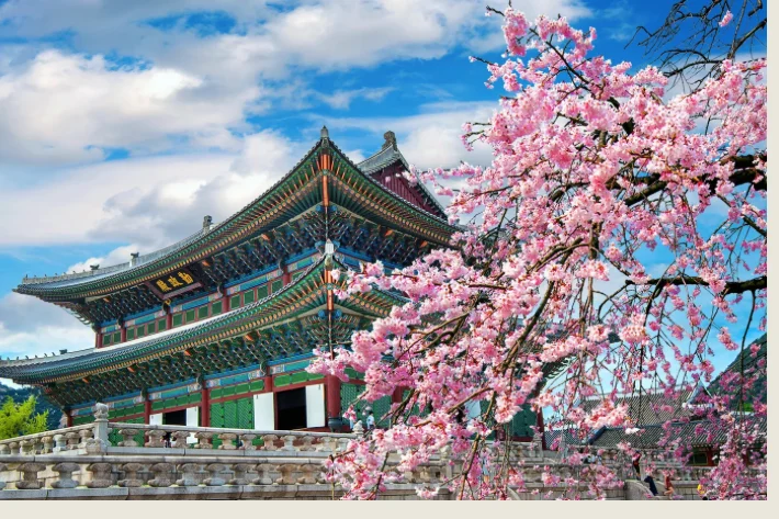 Destinasi Wisata Korea dan Kerugian Pertama Honda: Ringkasan Lengkap