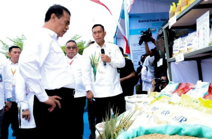 Dirut Bulog: Petugas Serap Gabah Tak Libur untuk Perkuat Swasembada