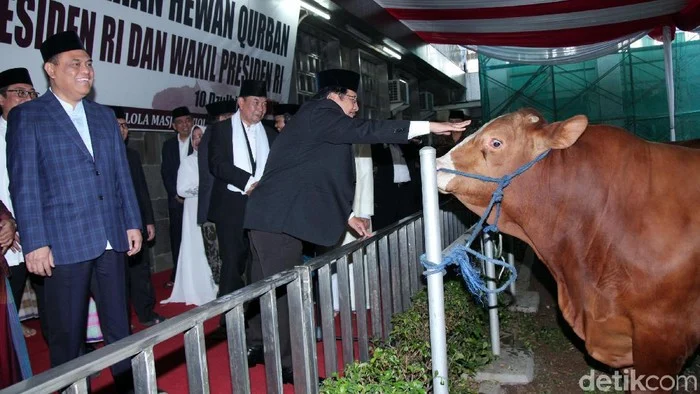 Distribusi Daging Kurban di Masjid Istiqlal Berbasis Data, Pastikan Tepat Sasaran
