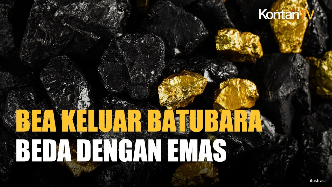 ESDM masih bahas bea keluar batu bara meski akan diekspor lewat DSI