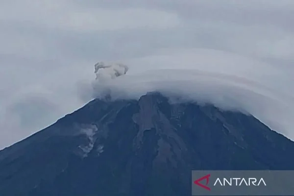 Gunung Semeru Tiga Kali Erupsi, Tinggi Letusan Capai 800 Meter