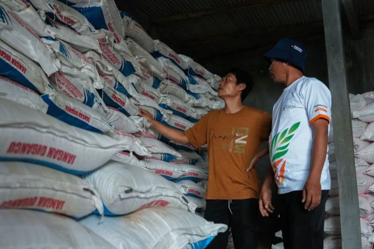Harga Pupuk Dunia Naik 40 Persen, Presiden Prabowo Turunkan 20 Persen untuk Petani