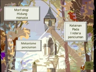 Ilmuwan AS temukan pola tersembunyi dalam sistem penciuman manusia