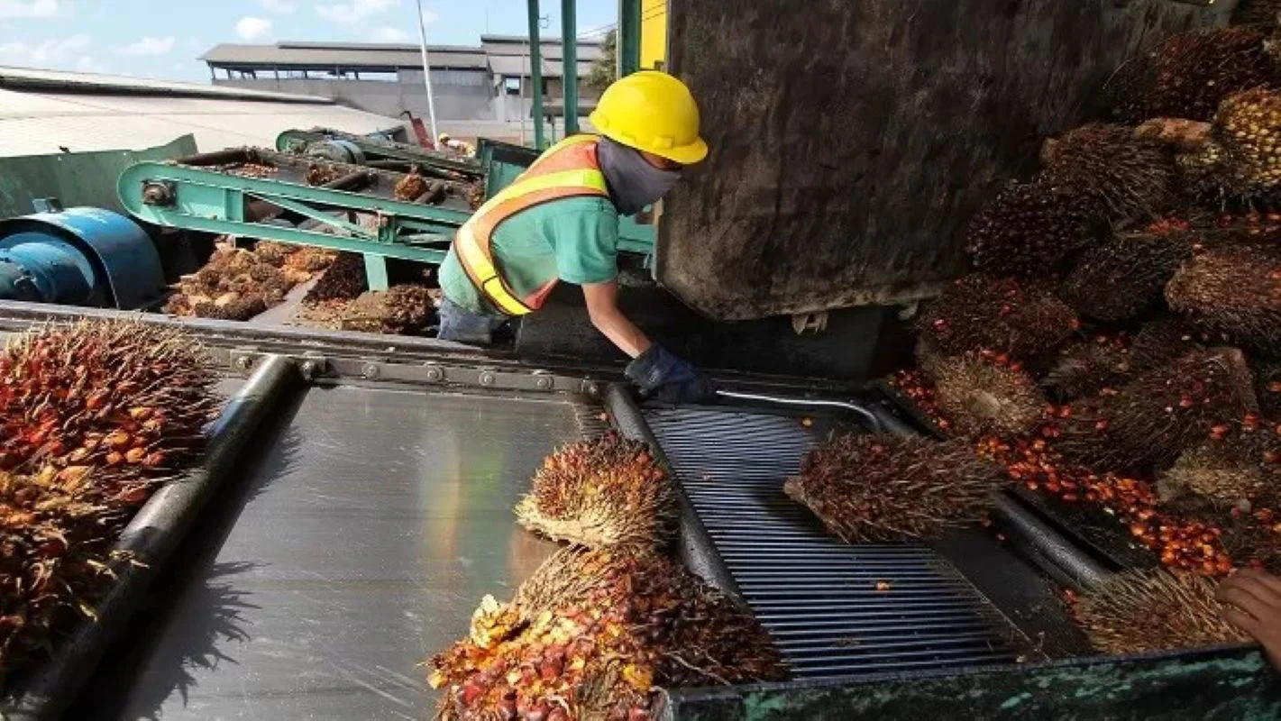 Industri Sawit Tumbuh, Kebutuhan Komponen Pabrik Ikut Meningkat