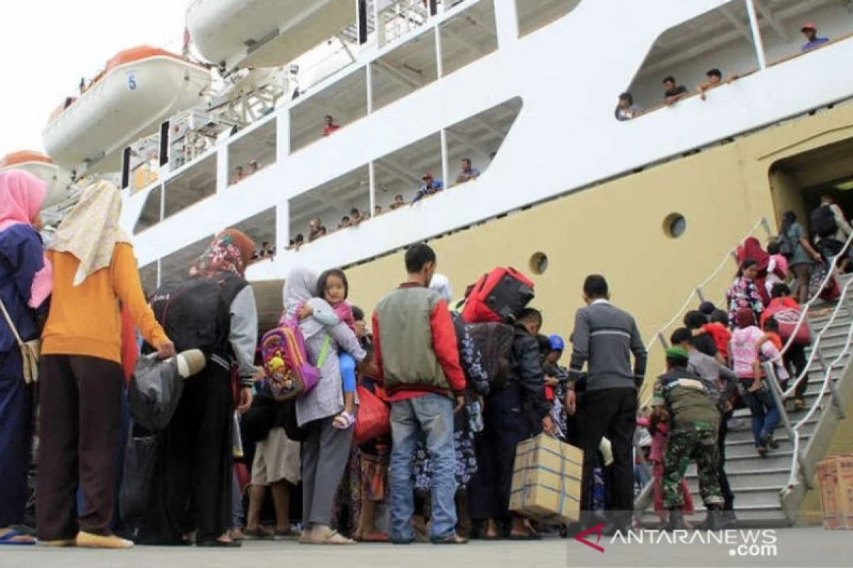 Jelang Idul Adha, PELNI Catat Sudah Angkut 825 Ekor Sapi dari Kupang ke Jakarta