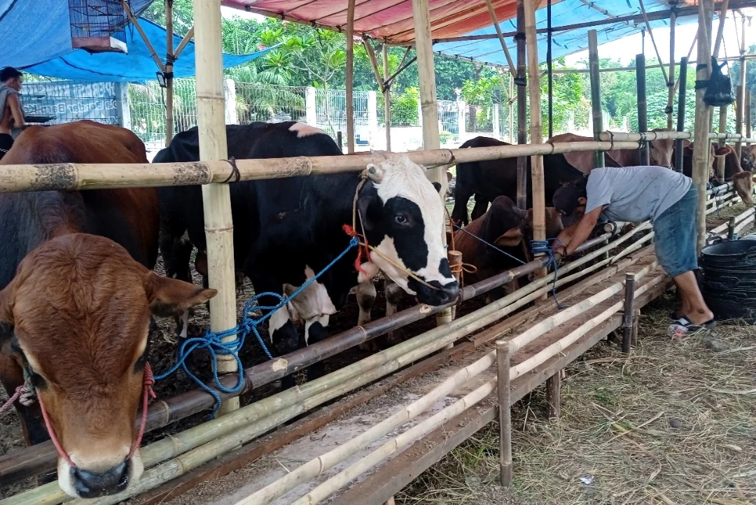 Jelang Idul Adha, Warga Jakarta Barat Diimbau Terapkan Eco Kurban