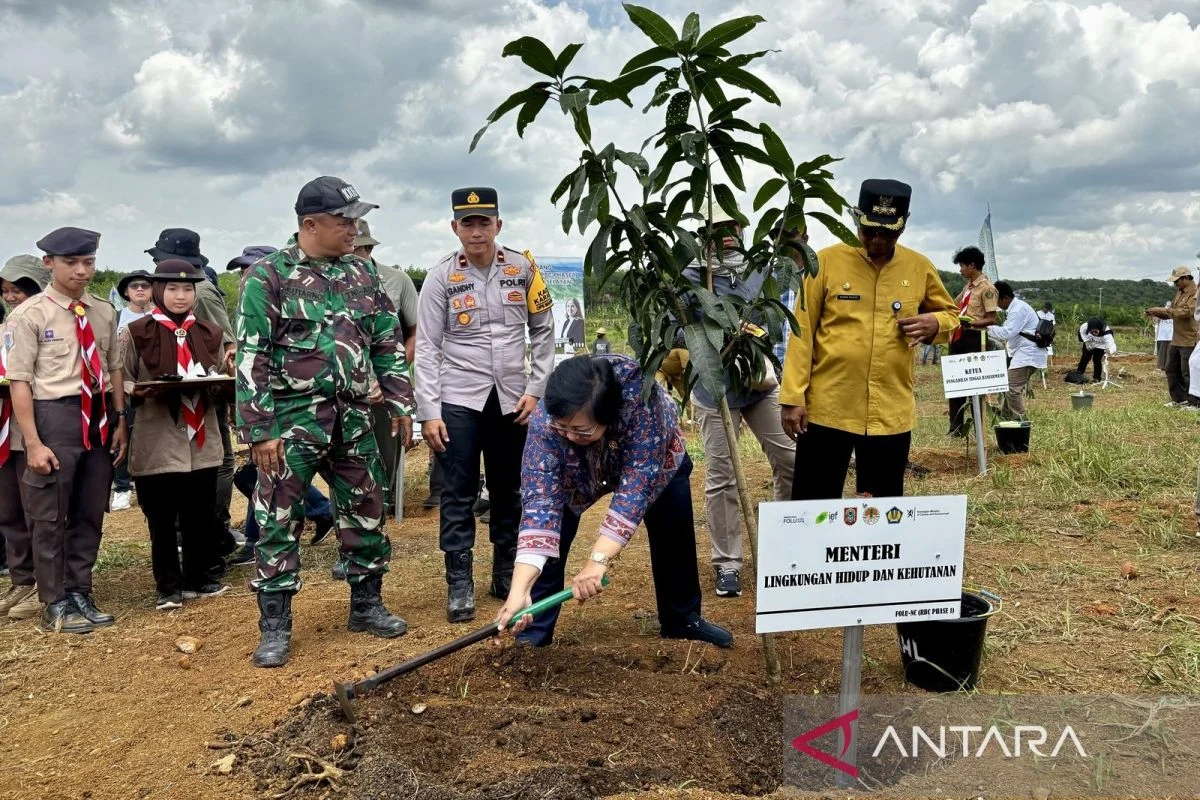 Kalsel Selesaikan Penanaman 105,66 Ha FOLU Net Sink di Tabalong dan Hulu Sungai