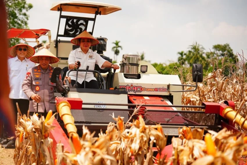 Kapolri Paparkan Hasil Panen Jagung Polri, 100 Ton Siap Diekspor ke Malaysia