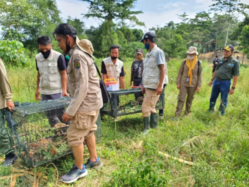Karantina Lampung Gagalkan Penyelundupan 620 Satwa Liar