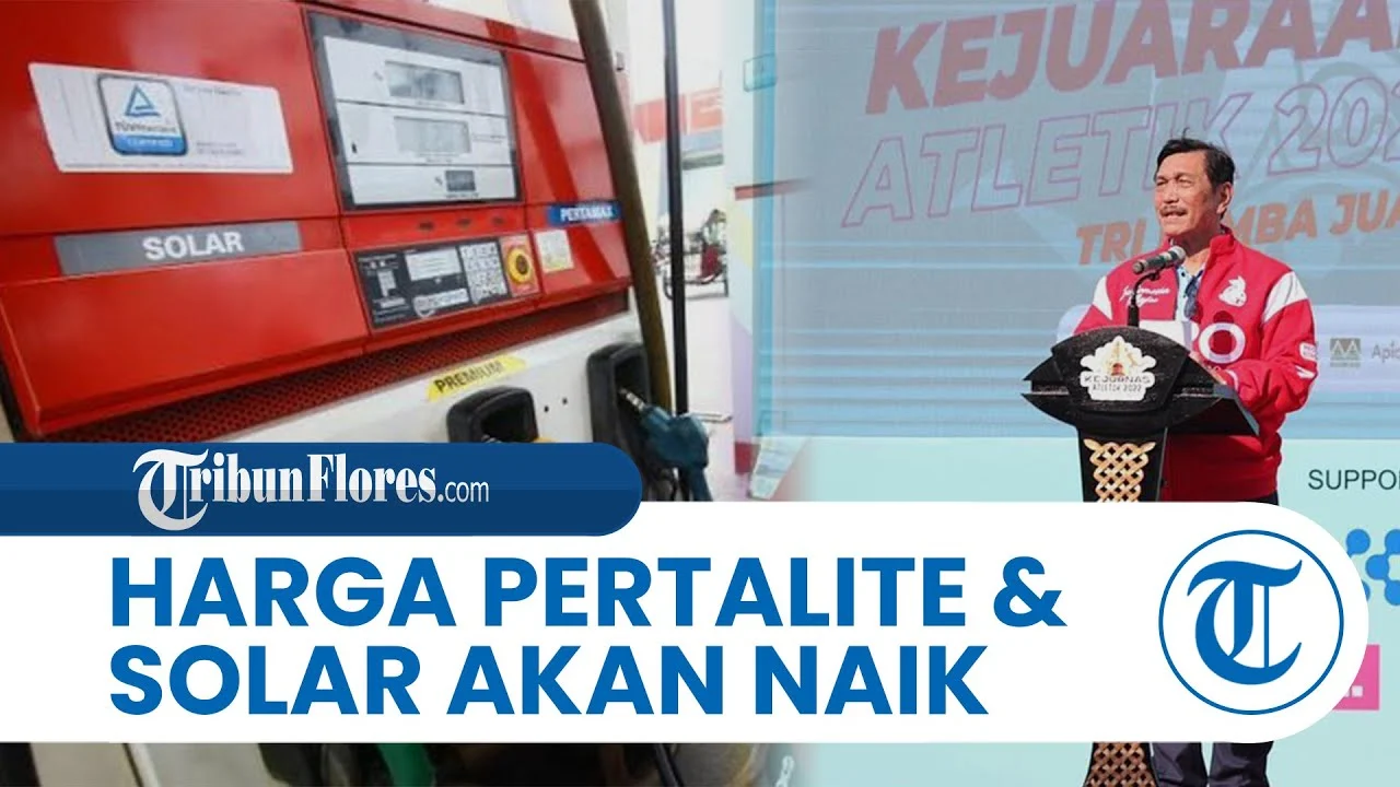 Kata Waketum PAN: Harga Solar Tanpa Kenaikan Bebani Pertamina dan APBN