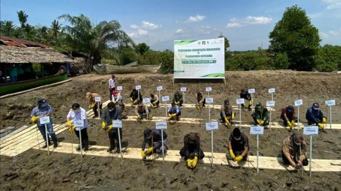 Kemenhut Gandeng Pemerintah Penajam Kembangkan Ekowisata Mangrove