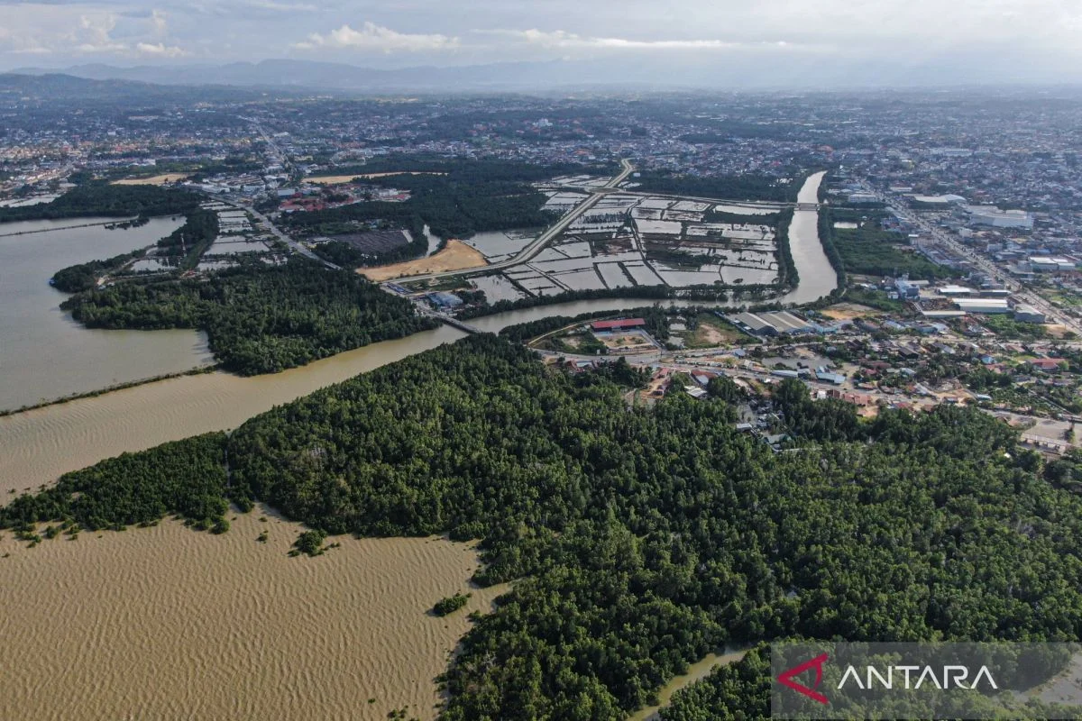 Kemenhut tegaskan peluang investasi kehutanan untuk perdagangan karbon