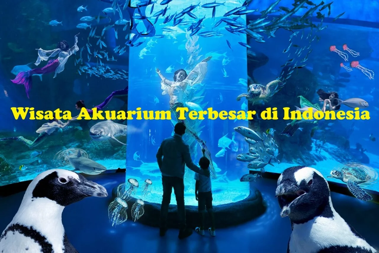 Kemenpar Dorong Wisata Akuarium Sebagai Pilihan Libur Sekolah
