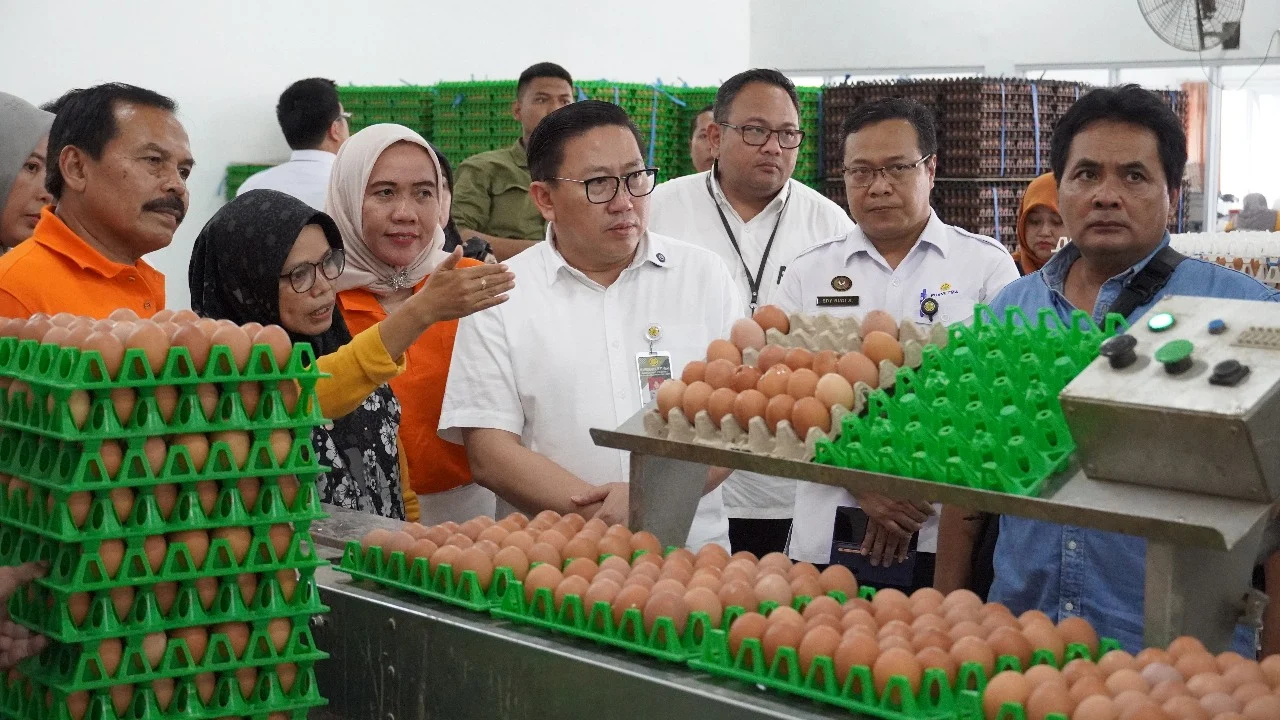 Kementan dan Bapanas Perkuat Penyerapan Telur Peternak di Magetan