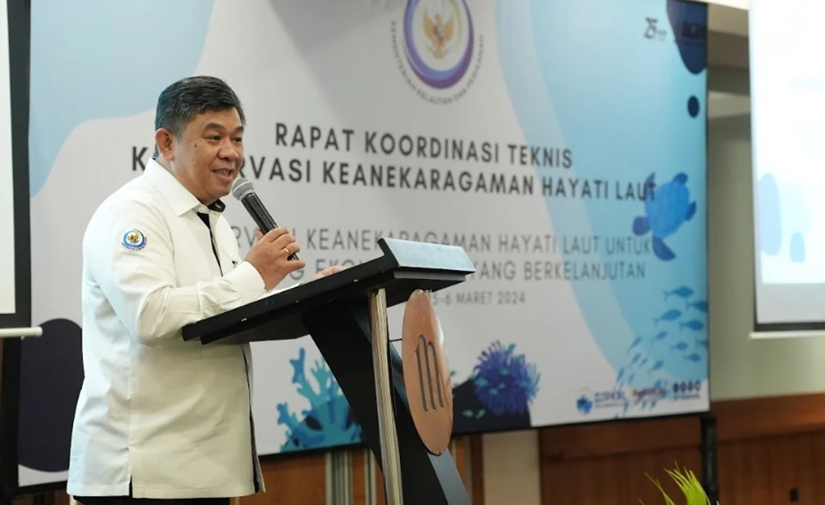 KKP Gandeng Conservation International Perkuat Edukasi Konservasi Laut
