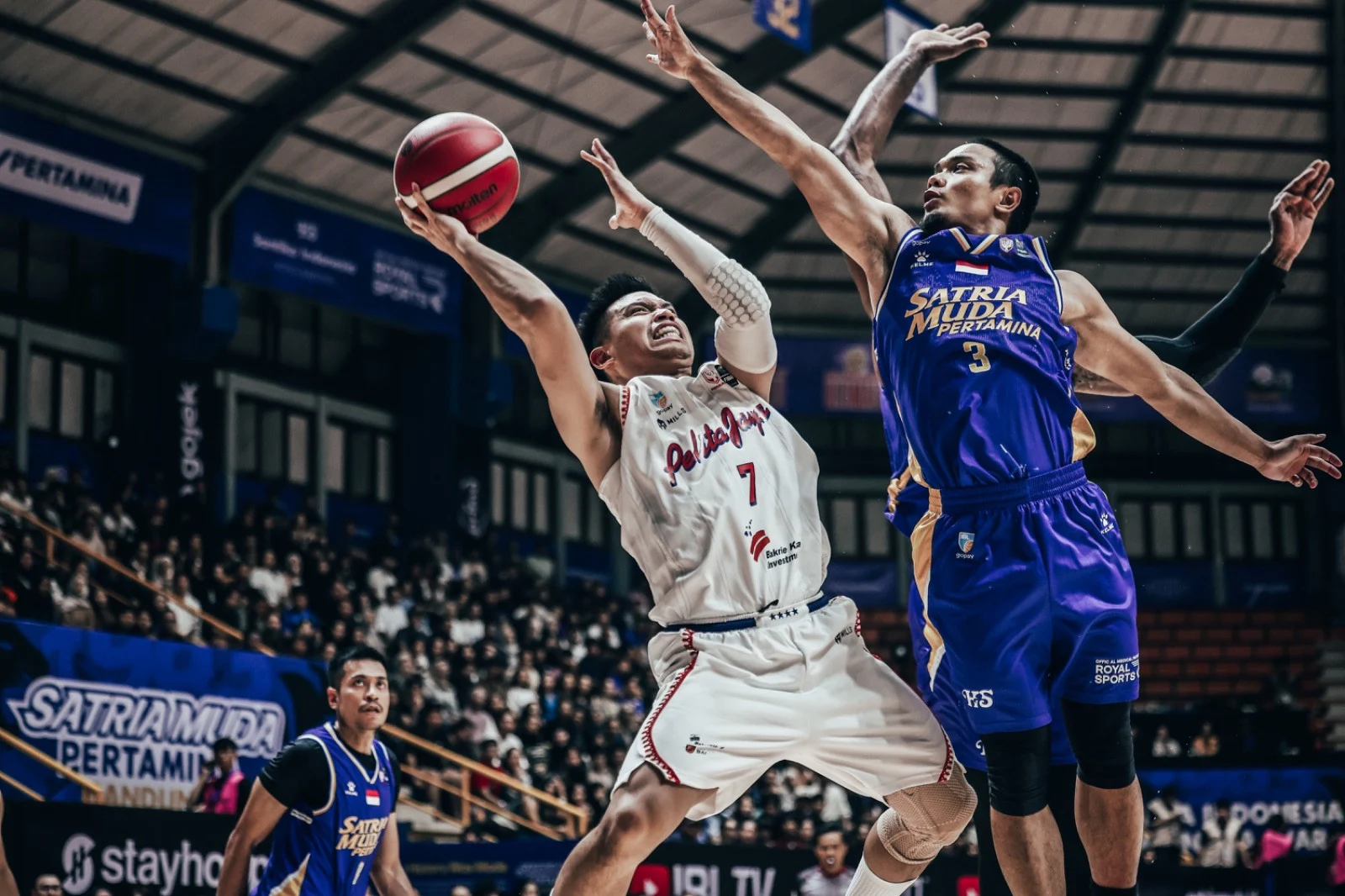 Klasemen Akhir IBL 2026: Pelita Jaya Tampil Dominan di Puncak Musim Reguler