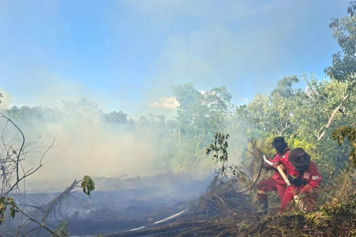 Manggala Agni Berjibaku Padamkan Karhutla Seluas 60 Ha di Pelalawan, Riau