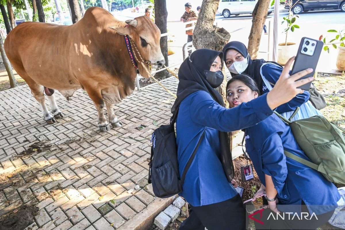 Menag: Momentum Idul Adha tidak sekadar ritual, melainkan berbagi