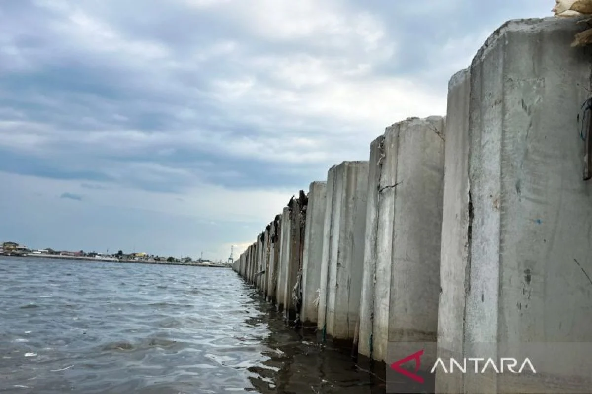 Mendiktisaintek arahkan perguruan tinggi dukung "Giant Sea Wall"
