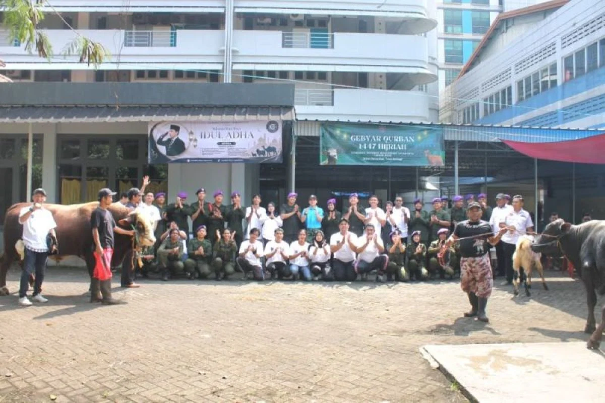 Menwa Jayakarta dan Sahabat Rizky Irmansyah Salurkan Sapi Kurban Seberat 1 Ton