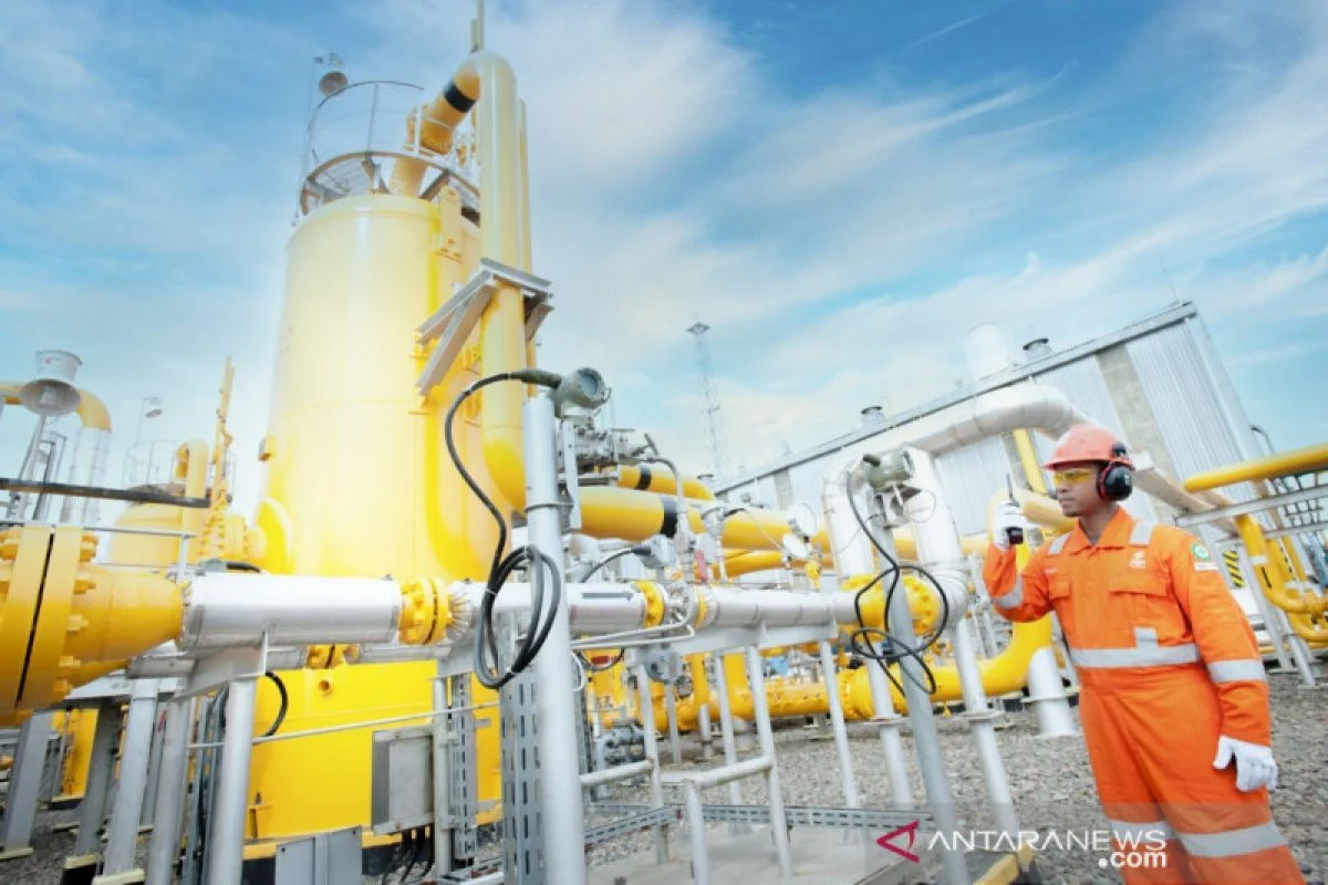 Pakar: Indonesia Perlu Diversifikasi Pasokan Energi Hadapi Risiko Geopolitik