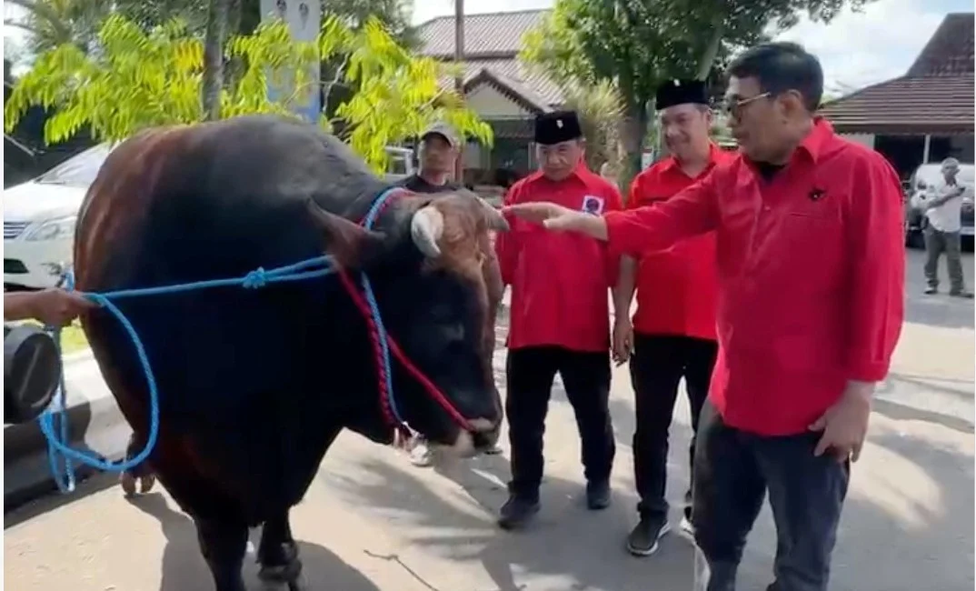 PDI Perjuangan Bagikan Ratusan Sapi Kurban untuk Warga di Jawa Timur