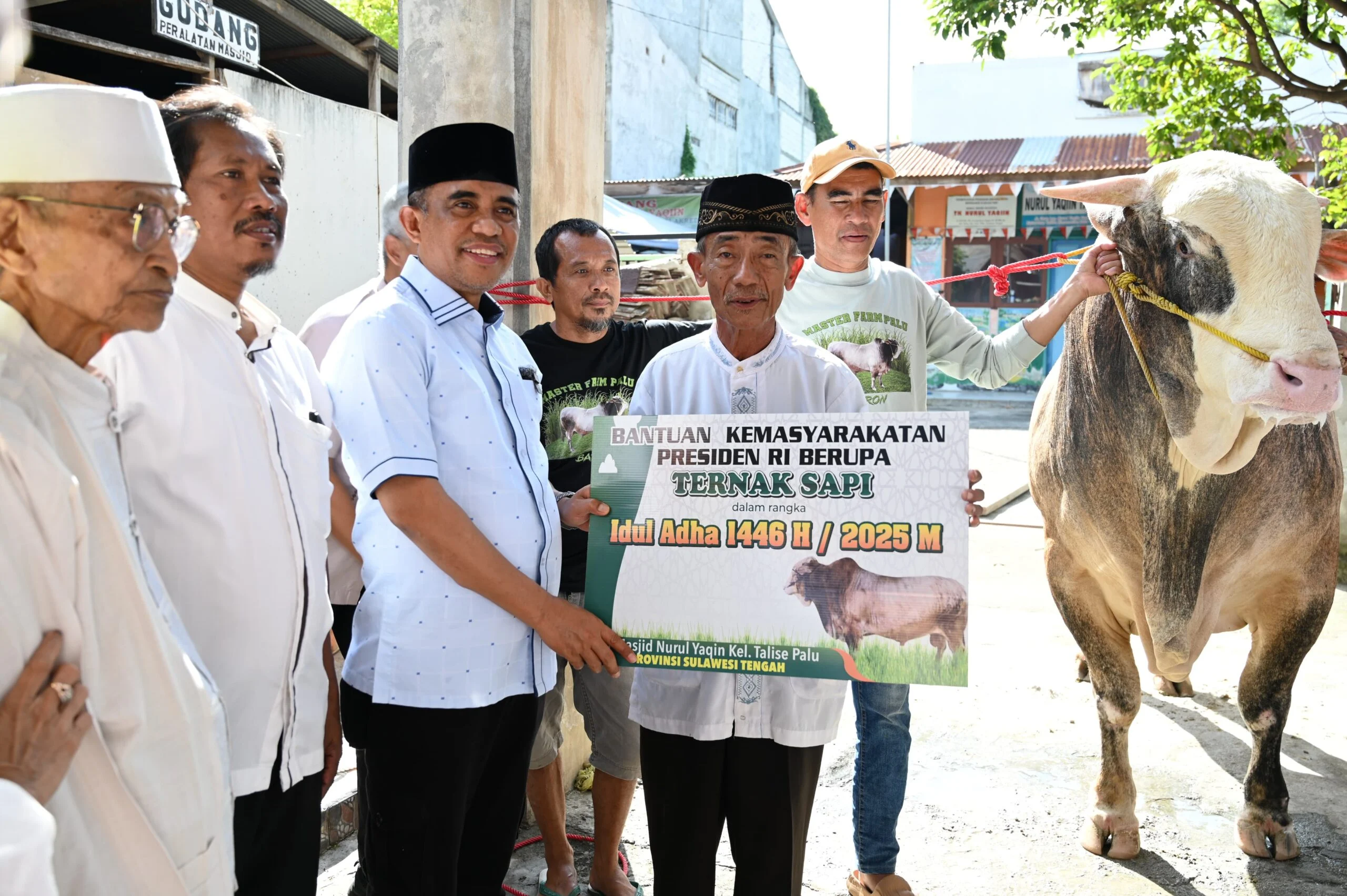 Pemkab Buol Salurkan Sapi Kurban Bantuan Presiden RI ke Desa Lakea I